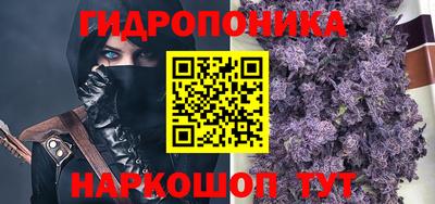 прущие грибы Уссурийск