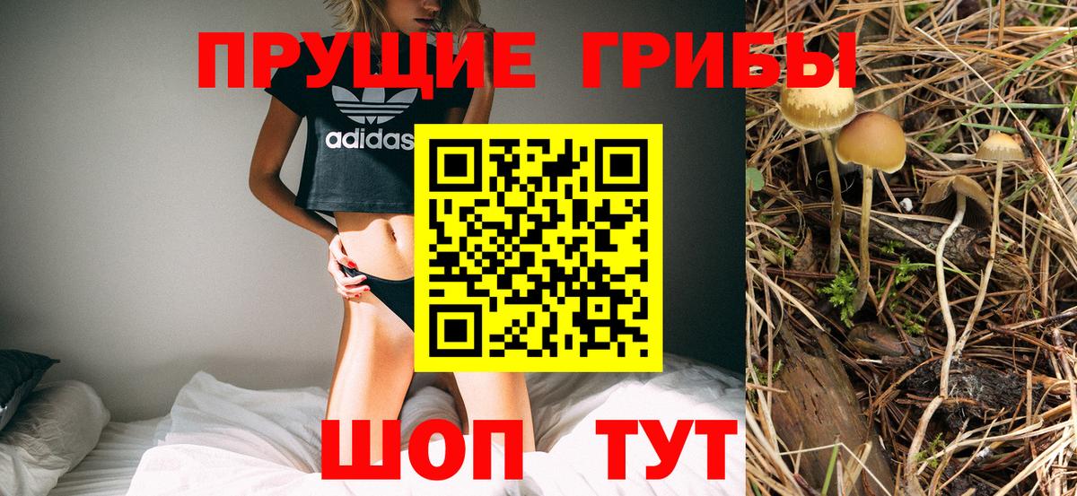 где можно купить наркотик  Галлюциногенные грибы Psilocybine cubensis  Вход с VPN  Галлюциногенные грибы мухоморы  Донской 